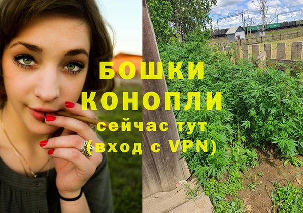 синтетический гашиш Богородицк