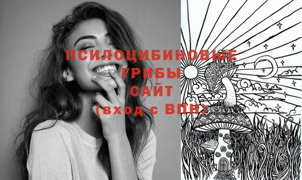 эйфоретик Богородск
