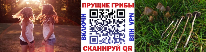 Псилоцибиновые грибы MAGIC MUSHROOMS  Энгельс 